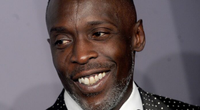 The Wire Actor, Michael K. Williams dies at 54 - Possible Cause of ...