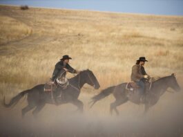 Yellowstone Season 4 Episode 7 Recap