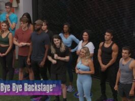 Big Brother 24