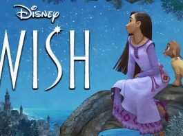 disney wish-