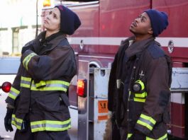 Chicago Fire 12x2 photo